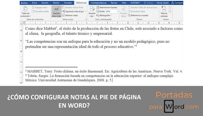 configurar notas al pie de pagina en word