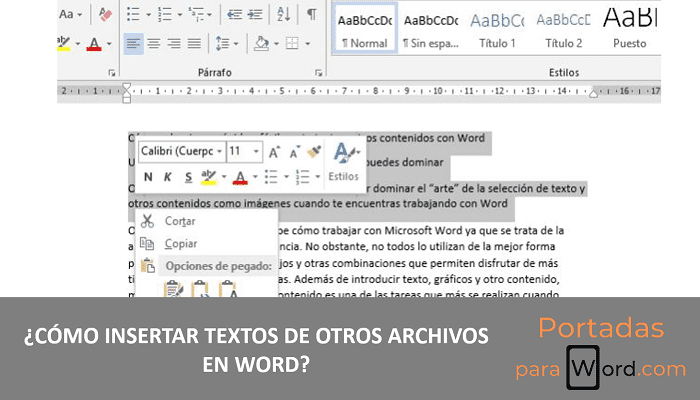 insertar textos de otros archivos en word